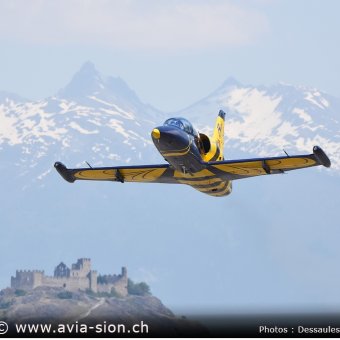 Albatros 2026 - 03